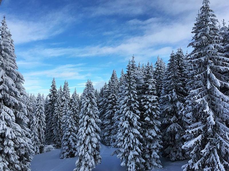 Sunset View Ski & Spa Apartments Kopaonik Exteriér fotografie